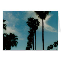 Palm Trees Card by quetzal323 Palm Trees Card