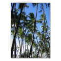 Palm Trees cards by plellski Palm Trees cards