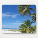 Palm Trees, Cayman Mousepad