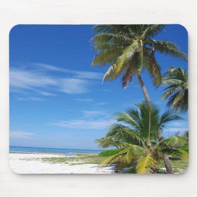Palm Trees, Cayman Mousepad by kookaburraphoto