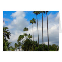 Palm Trees Clouds cards by DonnaGrayson Palm Trees Clouds cards