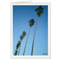 Palm Trees Diagonal cards by aricart Palm Trees Diagonal cards