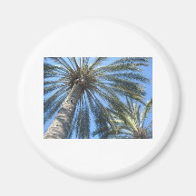 palm trees fridge magnet