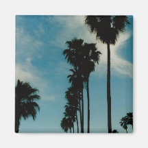 Palm Trees Fridge Magnets