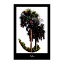 Palm Trees Graphic posters by saddogshirts Palm Trees Graphic posters