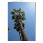 Palm Trees Greeting Card