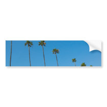 Palm Trees in a Row bumper stickers