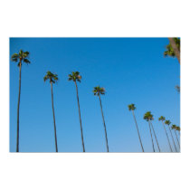 Palm Trees in a Row posters