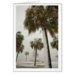 Palm Trees in a snow storm Card