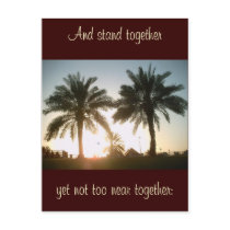 Palm trees in Doha Post Cards