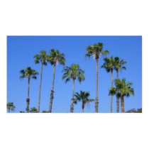Palm Trees in the Sky Profile Card business cards