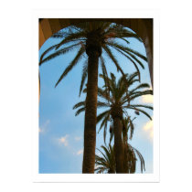 Palm Trees Los Angeles Poster posters
