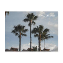 Palm Trees - Maui, Hawaii postcards