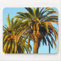 Palm Trees mousepads