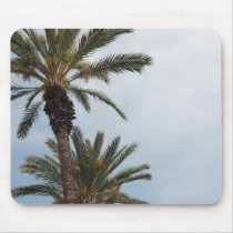 Palm Trees Mousepad