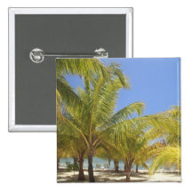 Palm Trees on a Honduras White Sand Beach Pinback Button