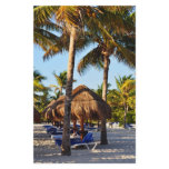 palm trees on the beach