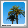 palm trees photograph wall graphics