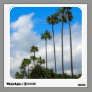 palm trees photograph wall skin
