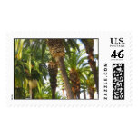 Palm Trees stamps