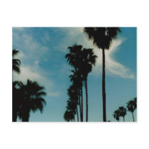 Palm Trees postcards by quetzal323 Palm Trees postcards