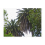 Palm Trees Postcard