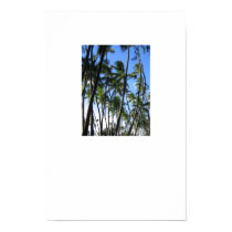 Palm Trees posters by plellski Palm Trees posters