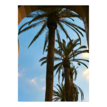 Palm Trees Poster posters