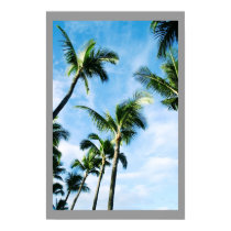 Palm Trees posters