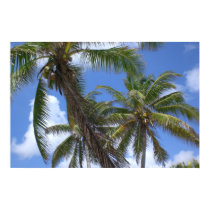 Palm Trees posters
