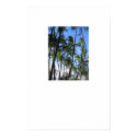 Palm Trees posters by plellski Palm Trees posters
