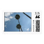 Palm Trees  Sky