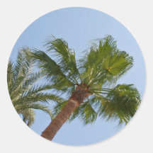 Palm Trees Stickers
