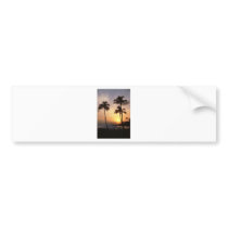 Palm Trees, Sunset, Beach, Hawaii