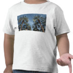 Palm Trees T-shirts