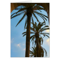 Palm Trees Union Station cards