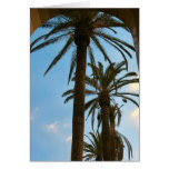 Palm Trees Union Station Cards