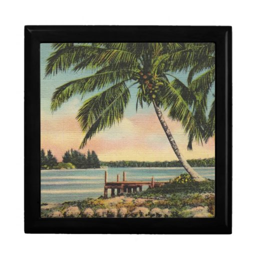 palm trees vintage jewelry box Zazzle