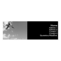Palm Treet Skinny Profile Card Business Cards