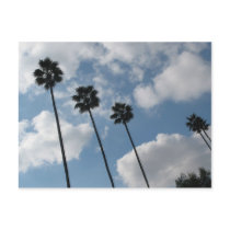 palm tres and clouds postcards