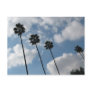 palm tres and clouds