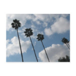 palm tres and clouds post card