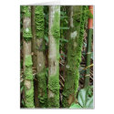 Palm Trunks Covered with Moss cards by joeyartist Palm Trunks Covered with Moss cards