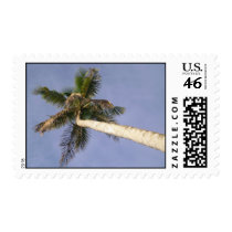 Palm View postage by mrulon23 Palm View postage
