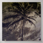 Palm Woods Print