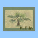 Palmas ALOHA Postcard