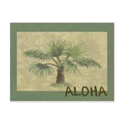 Palmas ALOHA Postcard by HollyGwen