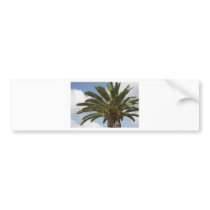 Palme1 Bumper Stickers
