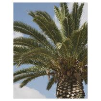 Palme1 Custom Flyer