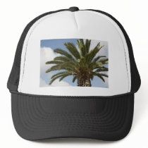 Palme1 Mesh Hats